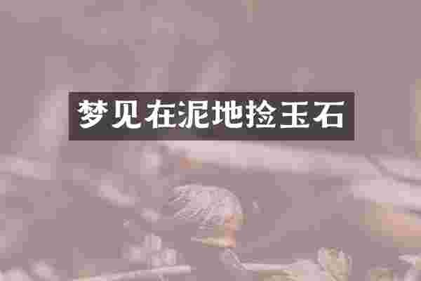梦见在泥地捡玉石