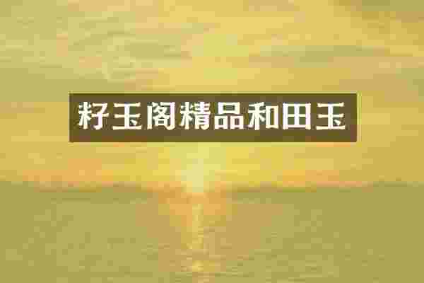 籽玉阁精品和田玉