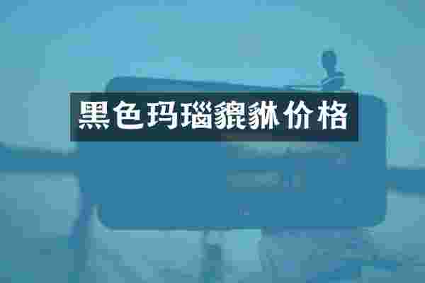 黑色玛瑙貔貅价格