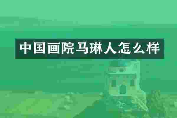 中国画院马琳人怎么样