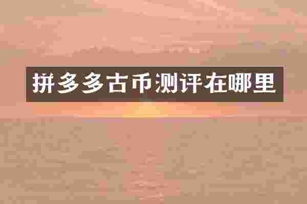 拼多多古币测评在哪里
