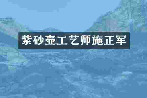 紫砂壶工艺师施正军