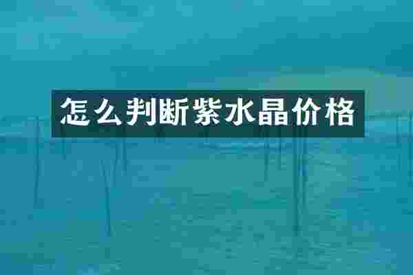 怎么判断紫水晶价格
