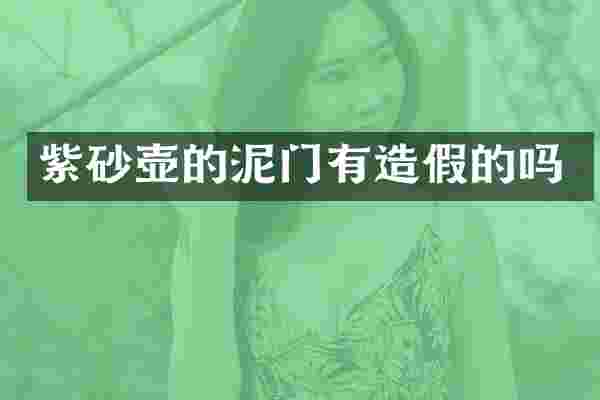 紫砂壶的泥门有造假的吗