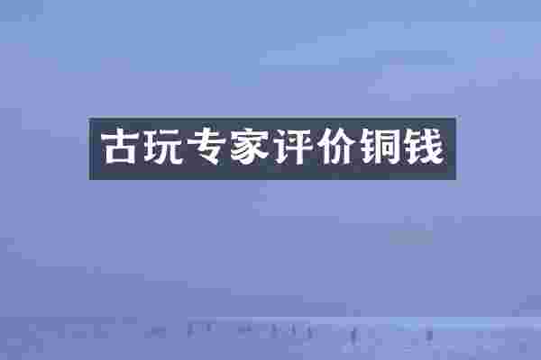 古玩专家评价铜钱