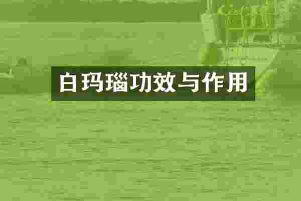 白玛瑙功效与作用