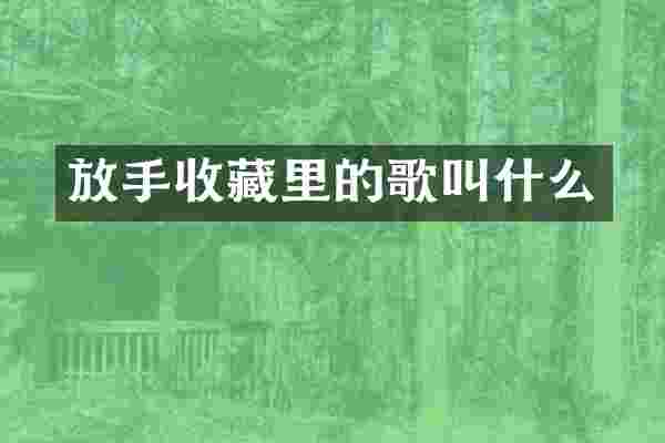 放手收藏里的歌叫什么