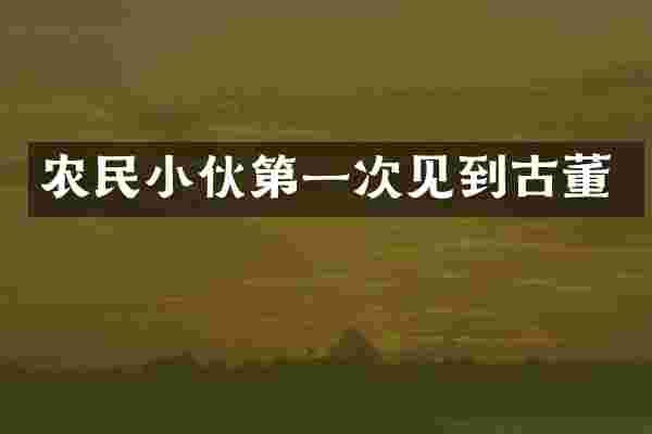 农民小伙第一次见到古董