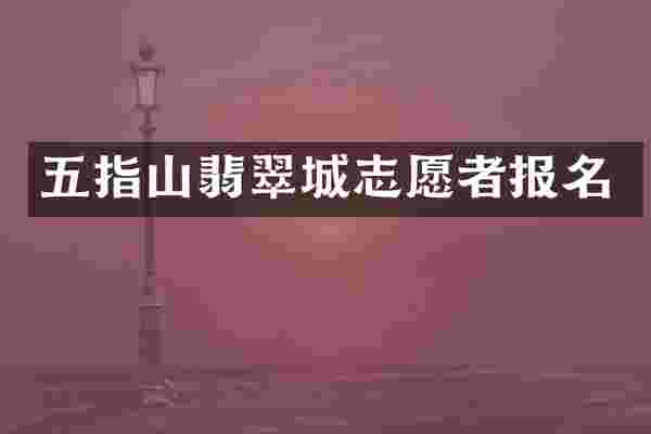 五指山翡翠城志愿者报名