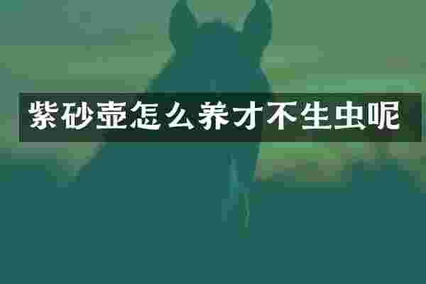 紫砂壶怎么养才不生虫呢