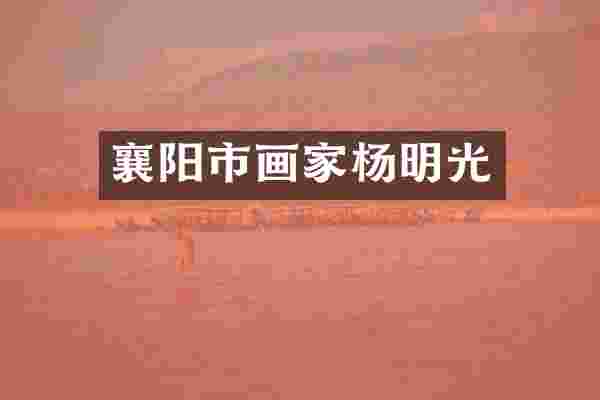 襄阳市画家杨明光