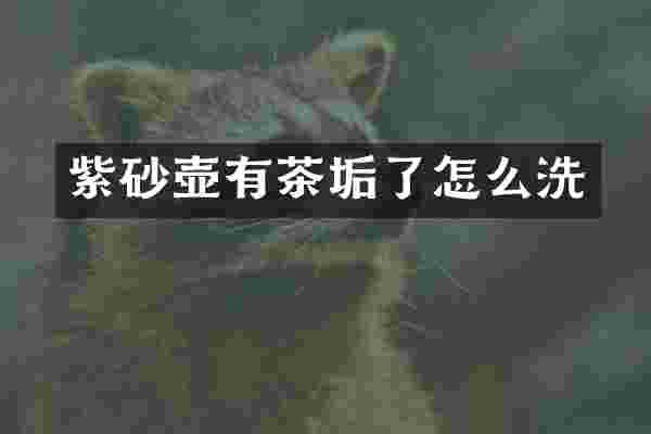 紫砂壶有茶垢了怎么洗
