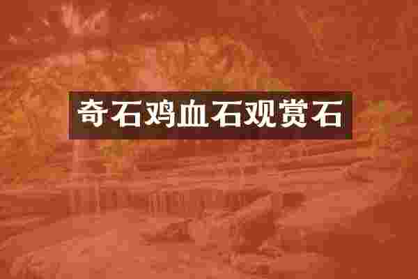 奇石鸡血石观赏石