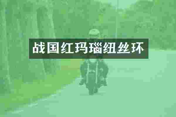 战国红玛瑙纽丝环