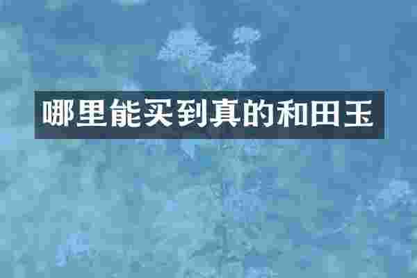 哪里能买到真的和田玉