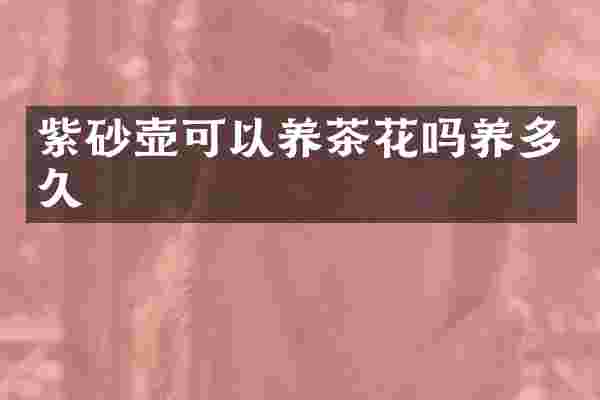 紫砂壶可以养茶花吗养多久