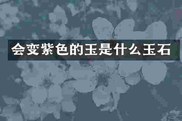 会变紫色的玉是什么玉石