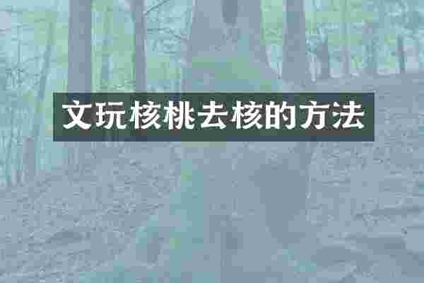 文玩核桃去核的方法