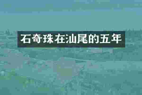 石奇珠在汕尾的五年