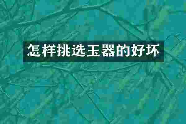 怎样挑选玉器的好坏