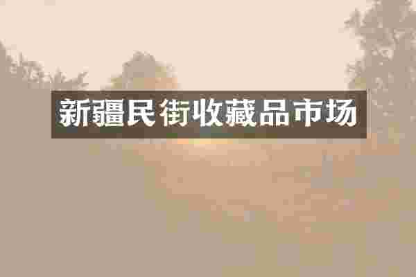 新疆民街收藏品市场