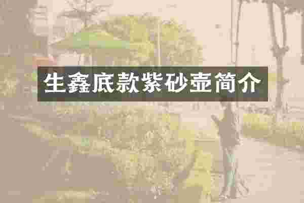 生鑫底款紫砂壶简介