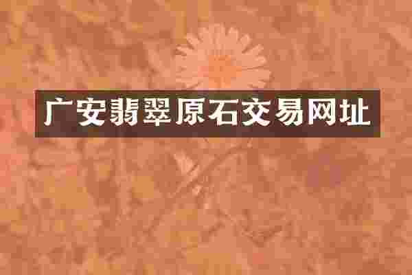 广安翡翠原石交易网址