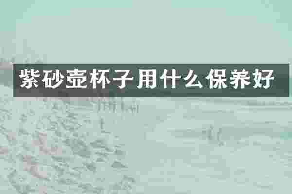 紫砂壶杯子用什么保养好