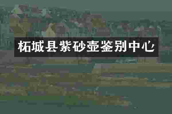 柘城县紫砂壶鉴别中心