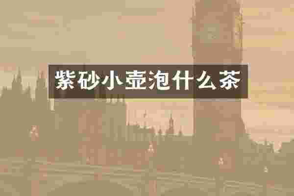 紫砂小壶泡什么茶
