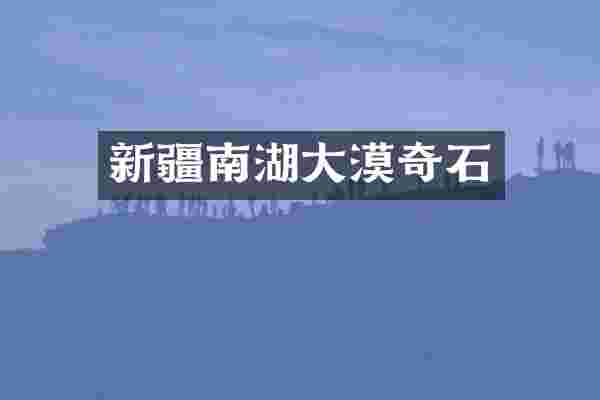 新疆南湖大漠奇石