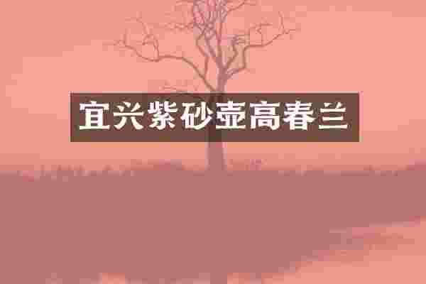 宜兴紫砂壶高春兰