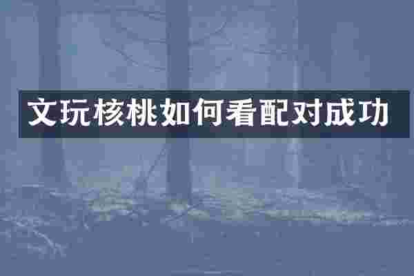 文玩核桃如何看配对成功