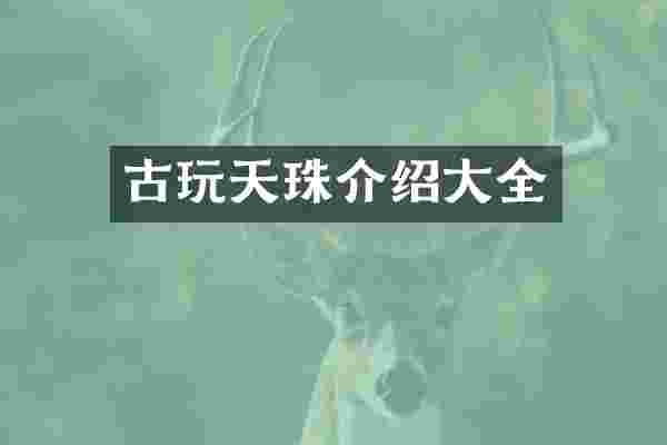 古玩天珠介绍大全