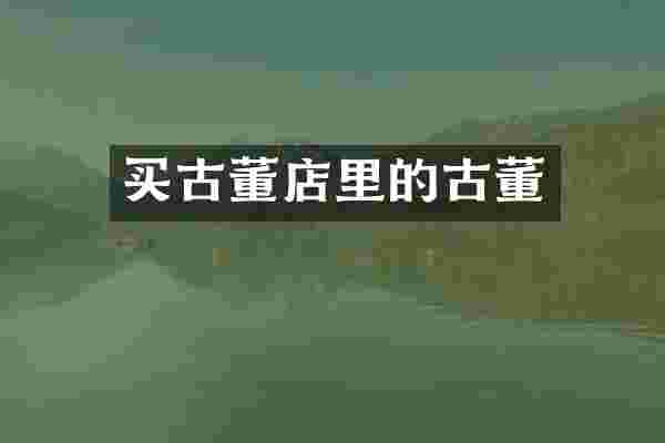 买古董店里的古董