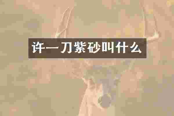 许一刀紫砂叫什么