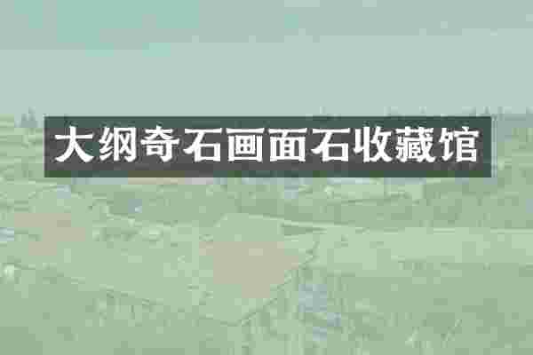 大纲奇石画面石收藏馆
