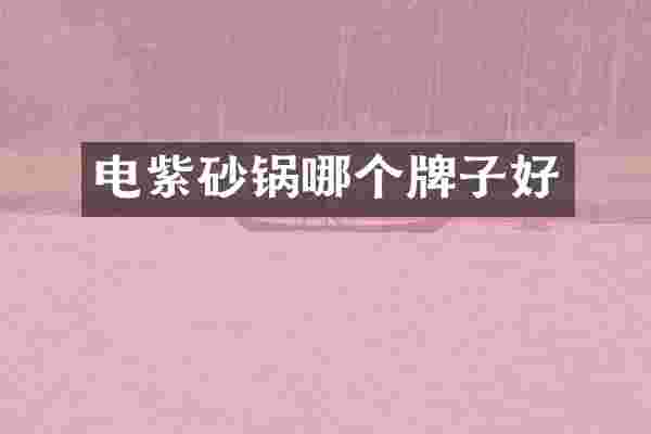 电紫砂锅哪个牌子好
