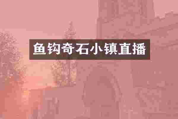 鱼钩奇石小镇直播