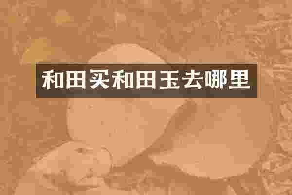 和田买和田玉去哪里
