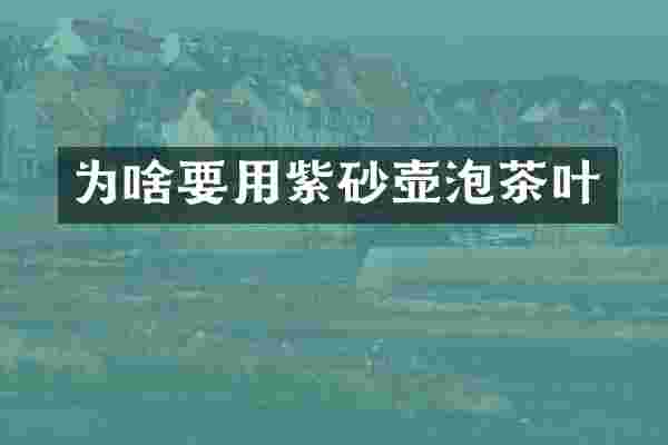 为啥要用紫砂壶泡茶叶