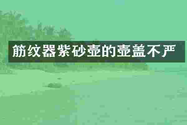 筋纹器紫砂壶的壶盖不严