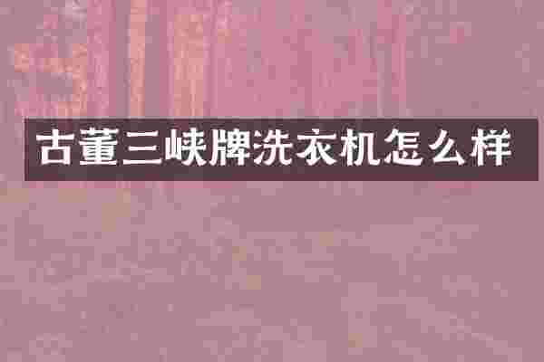 古董三峡牌洗衣机怎么样