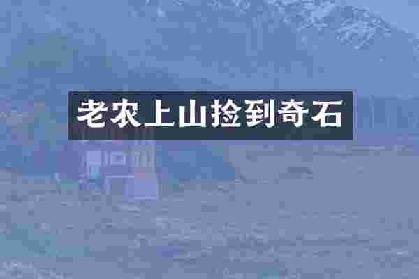 老农上山捡到奇石