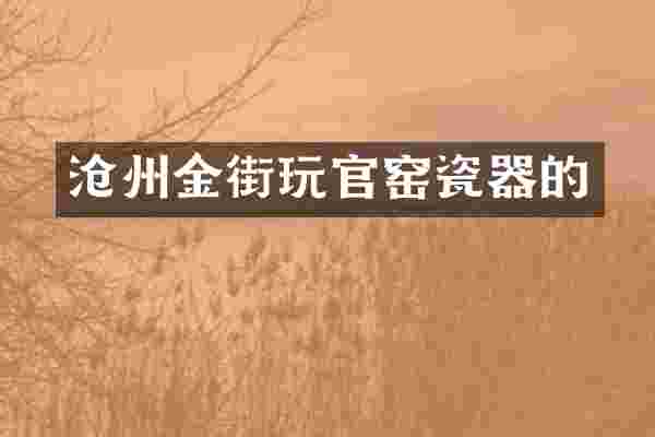 沧州金街玩官窑瓷器的