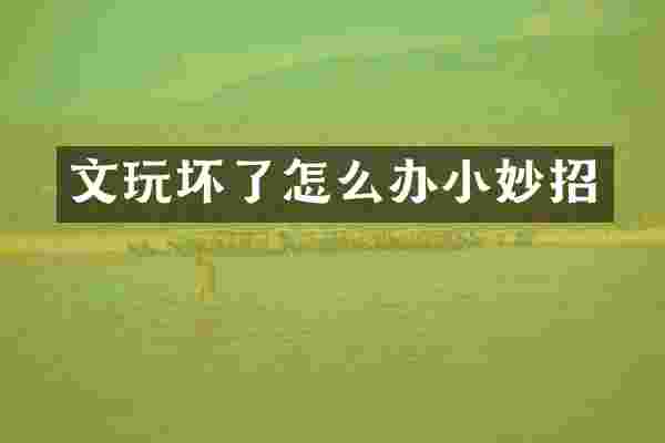 文玩坏了怎么办小妙招