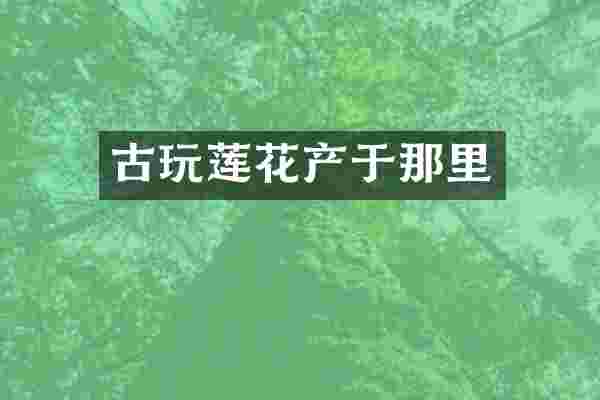古玩莲花产于那里