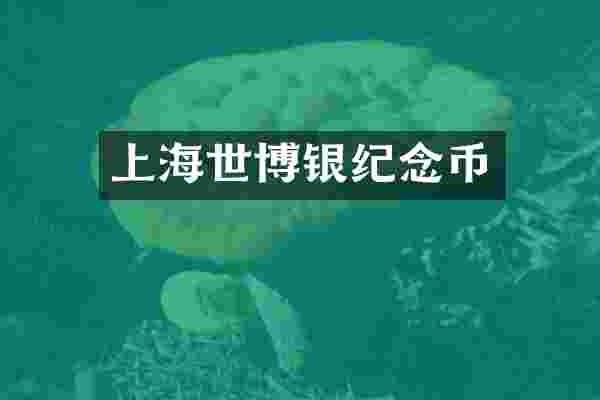 上海世博银纪念币