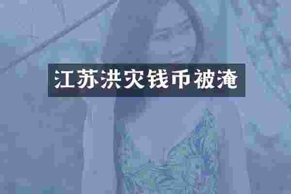 江苏洪灾钱币被淹