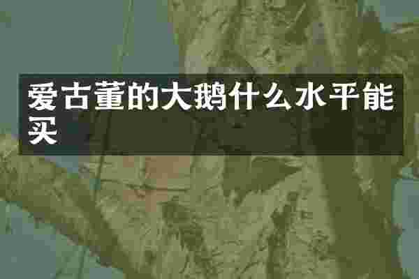 爱古董的大鹅什么水平能买